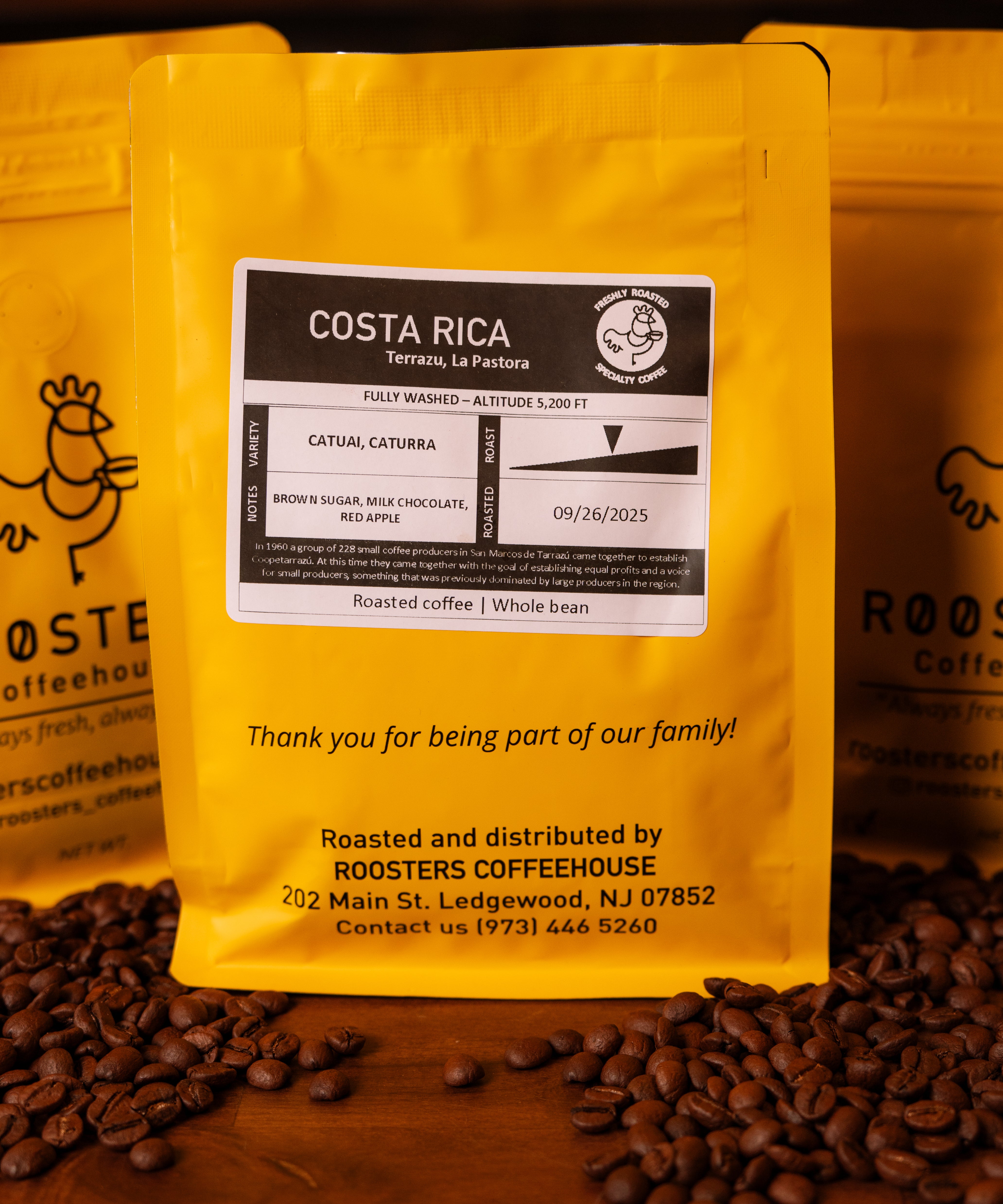 Costa Rica Terrazú La Pastora Coffee